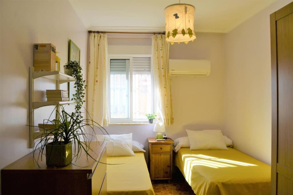El Apartamento De Trini Sevilla Exterior foto